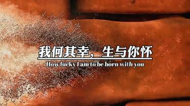 逃离魔法之森